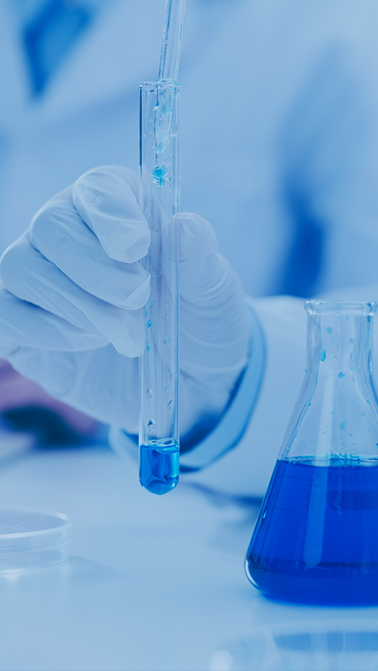 永利集团·yl8cc(中国游)官方网站