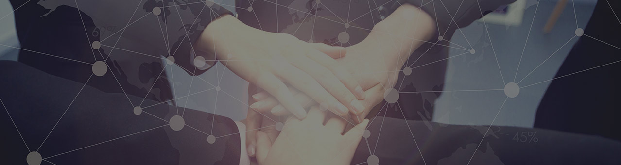 永利集团·yl8cc(中国游)官方网站